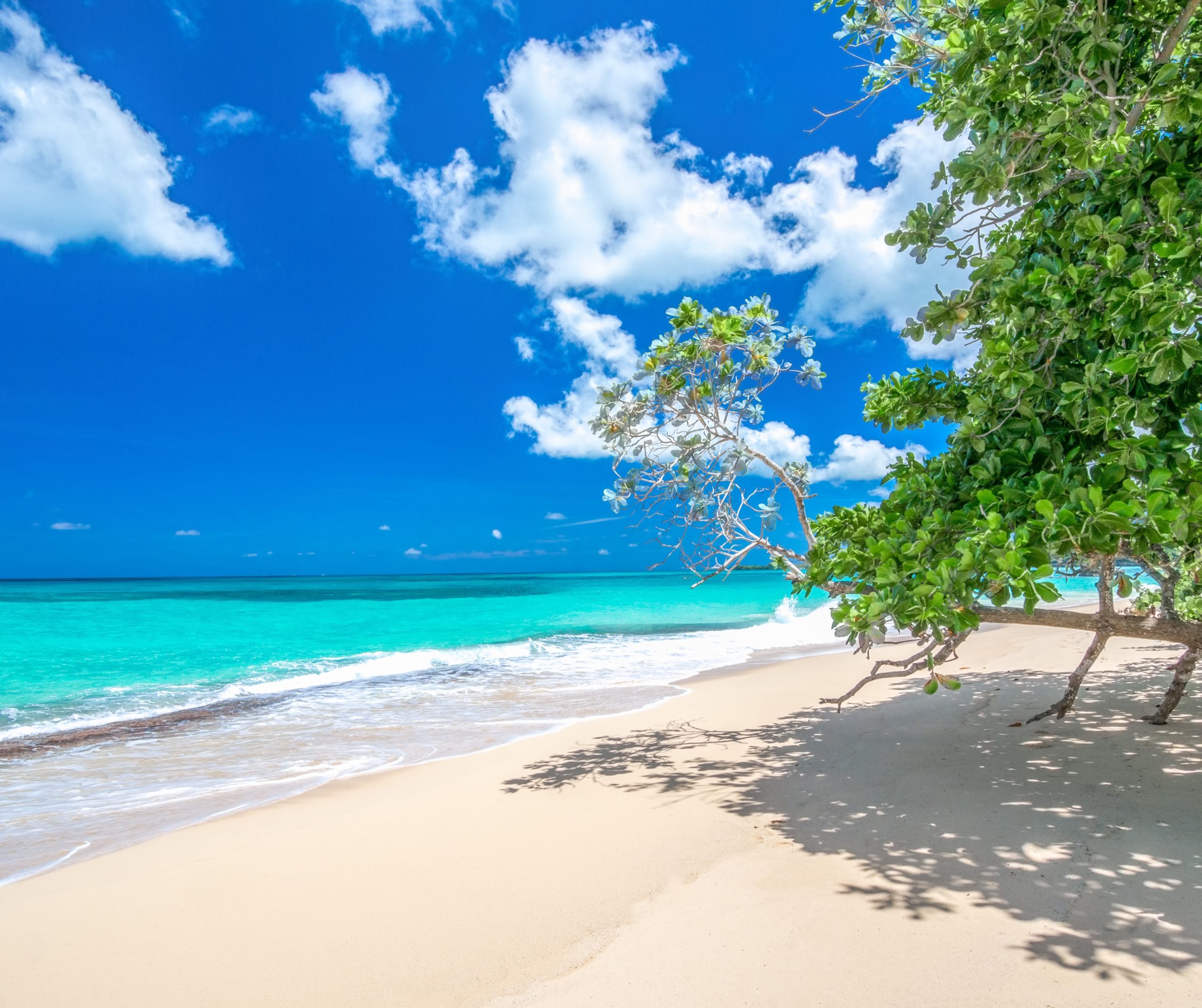 Dominican Republic for Dream Wedding Photos