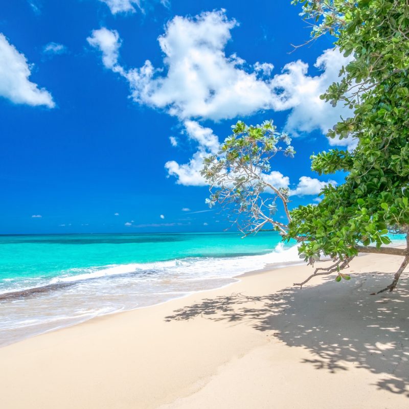 Dominican Republic for Dream Wedding Photos