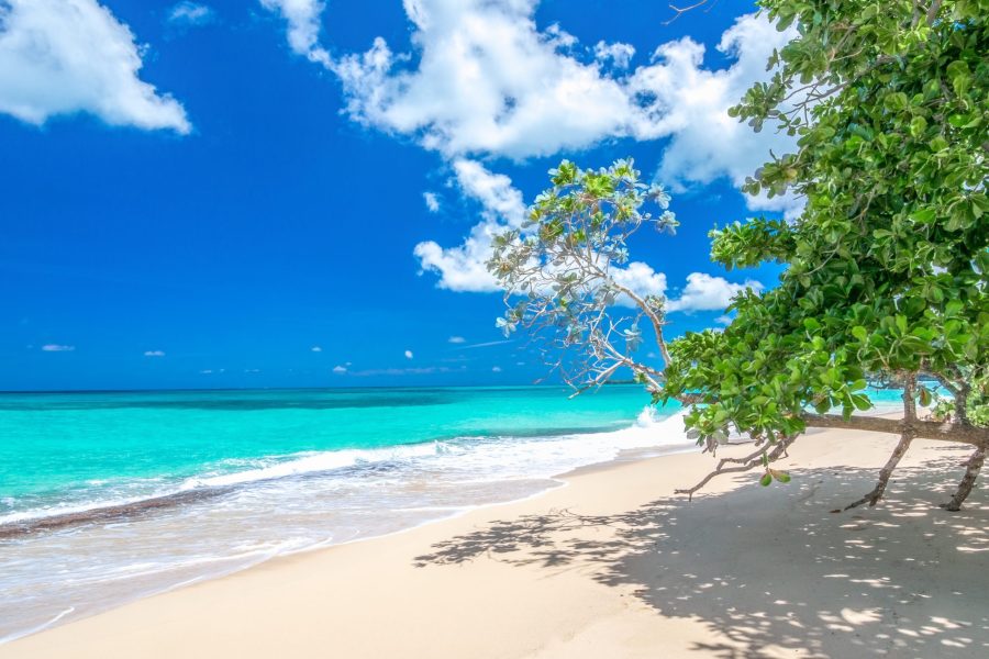 Dominican Republic for Dream Wedding Photos